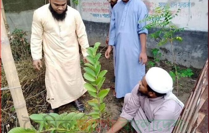 ইসলামী ছাত্র আন্দোলনের নেতারা চারা গাছ রোপন করছেন।