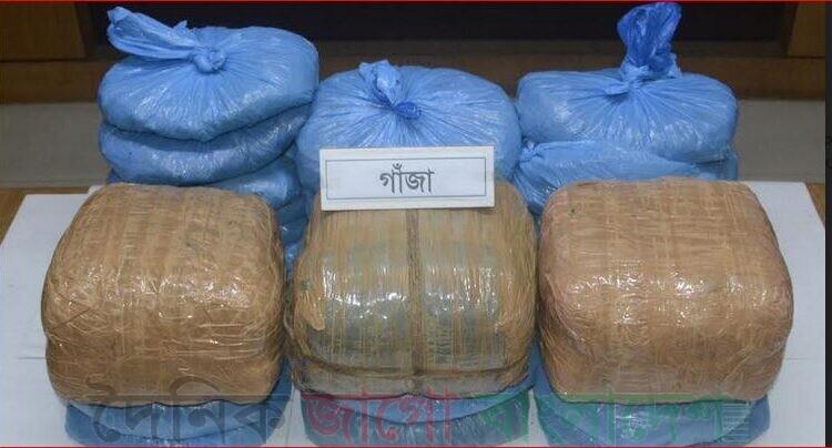 র‌্যাব-১১ অভিযানে বিপুল পরিমান গাঁজা উদ্ধার