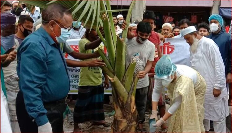 রূপগঞ্জে মহাসড়কের দুই পাশের ফুটপাত উচ্ছেদ করে বৃক্ষরোপন