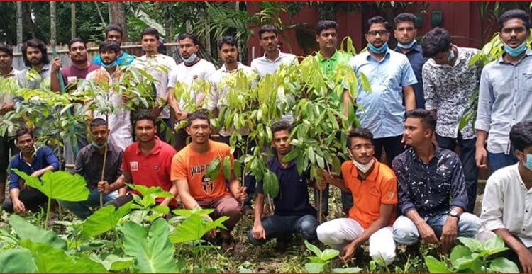 বৃক্ষের চারা বিতরণ