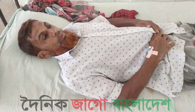 দৌলতপুরে গাছেরদিয়াড় গ্রামে হামলায় আহত-১