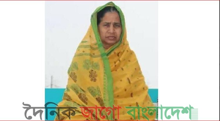 সোনারগাঁয়ে বাড়িওয়ালাকে হত্যা ভাড়াটিয়ার বিরোদ্ধে অভিযোগ উঠেছে।