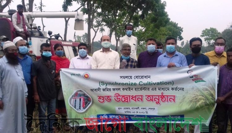 নকলায় কম্বাইন হার্ভেস্টারে ধান কর্তন উদ্বোধন